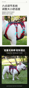 Harnais Anti-Traction pour Chien - Gilet Confortable et Sécurisé pour Promenades