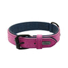 Collier en Cuir Véritable Rembourré pour Chien – Doux, Ajustable, Toutes Races