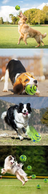 Balle Interactive Sonore pour Chien – Giggle Ball sans Pile