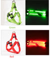 Harnais LED Lumineux pour Chien – Sécurité Nocturne Anti-Traction