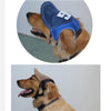 Casquette de Soleil pour Chien – Bob Ajustable avec Trous pour les Oreilles