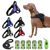 Ensemble Harnais et Laisse Anti-Traction pour Chien – Réfléchissant