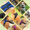 Ensemble Harnais et Laisse Anti-Traction pour Chien – Réfléchissant