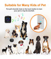 Sonnette Connectée pour Chien – Communication & Comportement
