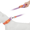 Ensemble Collier et Laisse pour Chien et Chat - Nylon Réfléchissant Ajustable