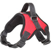Ensemble Harnais et Laisse Anti-Traction pour Chien – Réfléchissant