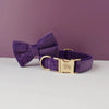 Collier en Velours Personnalisable pour Chien - Gravure Offerte avec Laisse Assortie