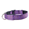 Collier LED Léopard pour Chien et Chat – Sécurité Nocturne Ajustable