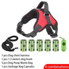 Ensemble Harnais et Laisse Anti-Traction pour Chien – Réfléchissant