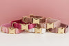 Collier en Velours Personnalisable pour Chien - Gravure Offerte avec Laisse Assortie