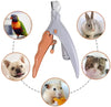 Coupe-Ongles LED pour Chien et Chat – Grossissement 5x et Lame Acier