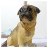Collier Bijou pour Chien – Chaîne Plaquée Or ou Argent avec Pendentif