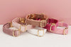 Collier en Velours Personnalisable pour Chien - Gravure Offerte avec Laisse Assortie