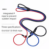 Laisse de Dressage Coulissante pour Chien – Nylon Tressé Anti-Traction