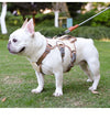 Harnais Anti-Traction pour Chien - Gilet Confortable et Sécurisé pour Promenades