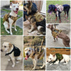 Kit 3 Sacoches Tactiques MOLLE pour Chien – 2 Pochettes + Ceinture