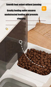 Station 2-en-1 Distributeur de Croquettes et Fontaine à Eau pour petit chien – Grande Capacité