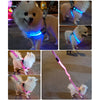 Harnais LED Lumineux pour Chien – Sécurité Nocturne Anti-Traction