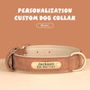 Collier en Cuir Personnalisé pour Chien - Gravure Gratuite Plaque Identité