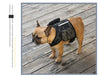 Sac de Randonnée Tactique pour Chien – Sacoche Dorsale Nylon 1000D Système MOLLE
