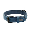 Collier en Cuir Véritable Rembourré pour Chien – Doux, Ajustable, Toutes Races