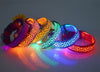 Collier LED Léopard pour Chien et Chat – Sécurité Nocturne Ajustable