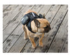 Sac de Randonnée Tactique pour Chien – Sacoche Dorsale Nylon 1000D Système MOLLE