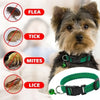 Collier Antiparasitaire pour Chien – Anti-Puces, Tiques et Moustiques avec Clochette