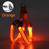 Harnais LED Lumineux pour Chien – Sécurité Nocturne Anti-Traction