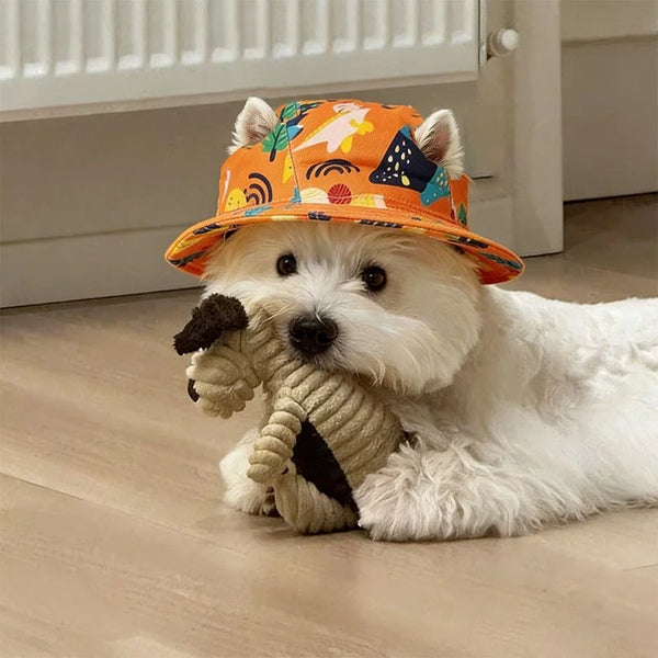 Bob de Soleil pour Chien et Chat – Chapeau Cartoon Ajustable Petites Races