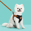 Harnais Gilet Motif Ours avec Laisse pour Chien – Respirant Ajustable
