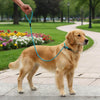 Laisse de Dressage Coulissante pour Chien – Nylon Tressé Anti-Traction