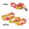 Ensemble Collier et Laisse pour Chien et Chat - Nylon Réfléchissant Ajustable