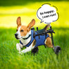 Fauteuil Roulant de Rééducation pour Chien et Chat – Aide à la Mobilité