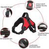 Ensemble Harnais et Laisse Anti-Traction pour Chien – Réfléchissant