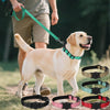 Collier Réfléchissant pour Chien avec Porte-AirTag – Nylon Ajustable