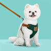 Harnais Gilet Motif Ours avec Laisse pour Chien – Respirant Ajustable