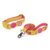 Ensemble Collier et Laisse pour Chien et Chat - Nylon Réfléchissant Ajustable
