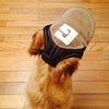 Casquette de Soleil pour Chien – Bob Ajustable avec Trous pour les Oreilles
