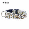 Collier LED Léopard pour Chien et Chat – Sécurité Nocturne Ajustable