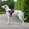 Harnais Gilet Personnalisable pour Chien – Patch ID Réfléchissant