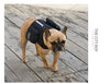Sac de Randonnée Tactique pour Chien – Sacoche Dorsale Nylon 1000D Système MOLLE