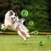 Balle Interactive Sonore pour Chien – Giggle Ball sans Pile