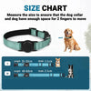Collier Réfléchissant pour Chien avec Porte-AirTag – Nylon Ajustable