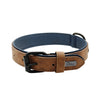 Collier en Cuir Véritable Rembourré pour Chien – Doux, Ajustable, Toutes Races