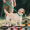 Collier Réfléchissant pour Chien avec Porte-AirTag – Nylon Ajustable