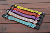 Collier LED Léopard pour Chien et Chat – Sécurité Nocturne Ajustable