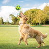 Balle Interactive Sonore pour Chien – Giggle Ball sans Pile