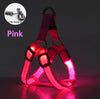 Harnais LED Lumineux pour Chien – Sécurité Nocturne Anti-Traction