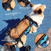 Fauteuil Roulant de Rééducation pour Chien et Chat – Aide à la Mobilité